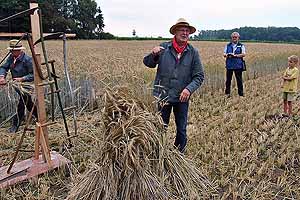 Getreide-Ernte am 26. Juli 2015 - Vorführung des Mitmach-Museums  - Foto 007