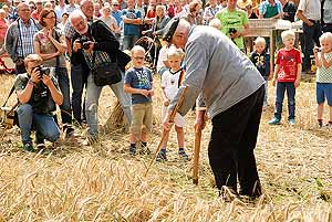 Getreide-Ernte am 26. Juli 2015 - Vorführung des Mitmach-Museums
