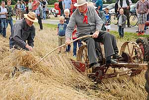 Getreide-Ernte am 26. Juli 2015 - Vorführung des Mitmach-Museums  - Foto 034
