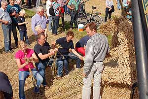 Getreide-Ernte am 26. Juli 2015 - Vorführung des Mitmach-Museums  - Foto 066