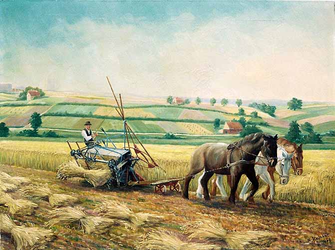 Getreideernte in den 1940er Jahren 